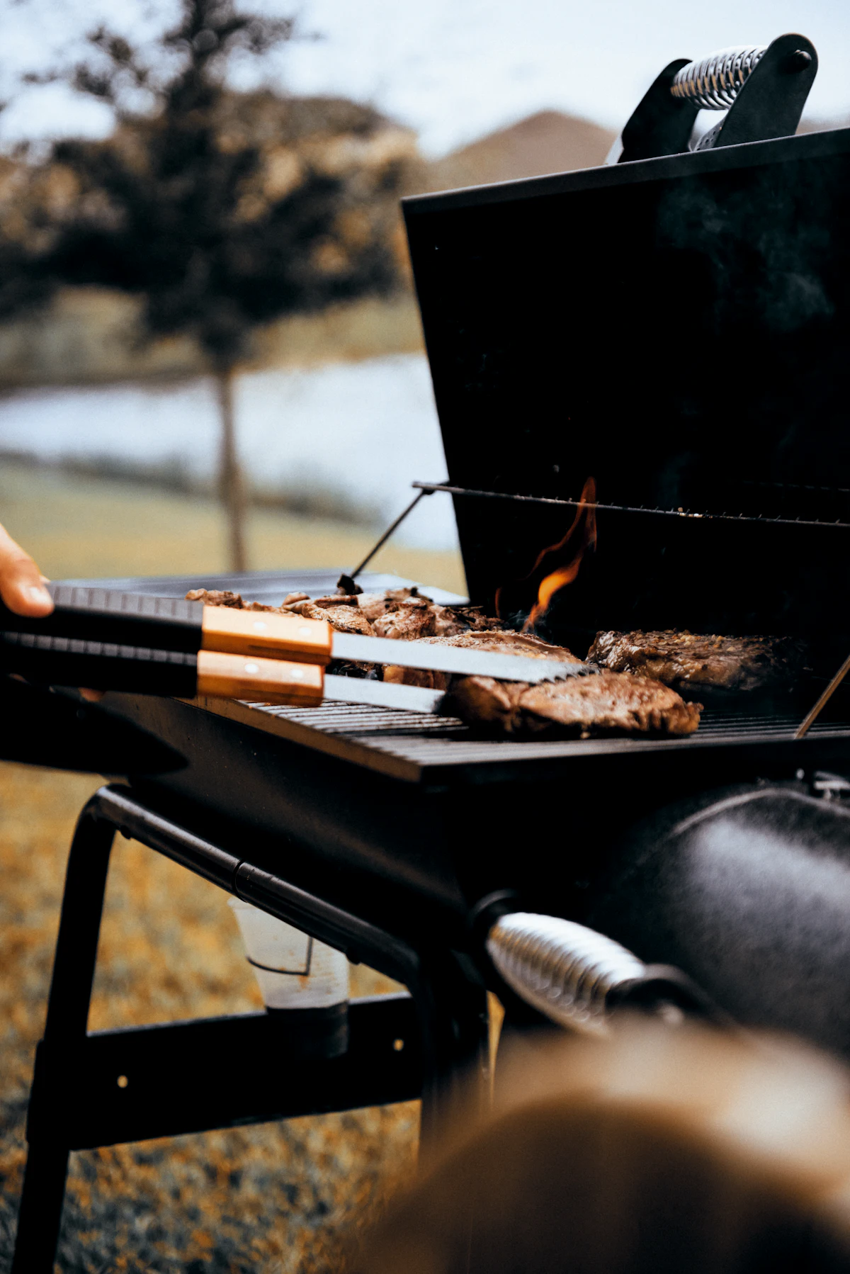 Hog roast cooking over charcoal